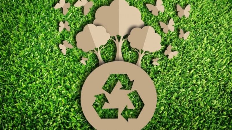 L’UTILIZZO DEI MATERIALI ECOSOSTENIBILI