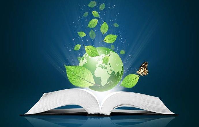 LIBRO VERDE SULL’EFFICIENZA ENERGETICA