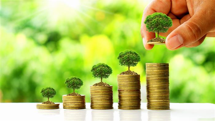 BIOECONOMY AND SUSTAINABILITY MANAGEMENT BIOECONOMY AND SUSTAINABILITY MANAGEMENT