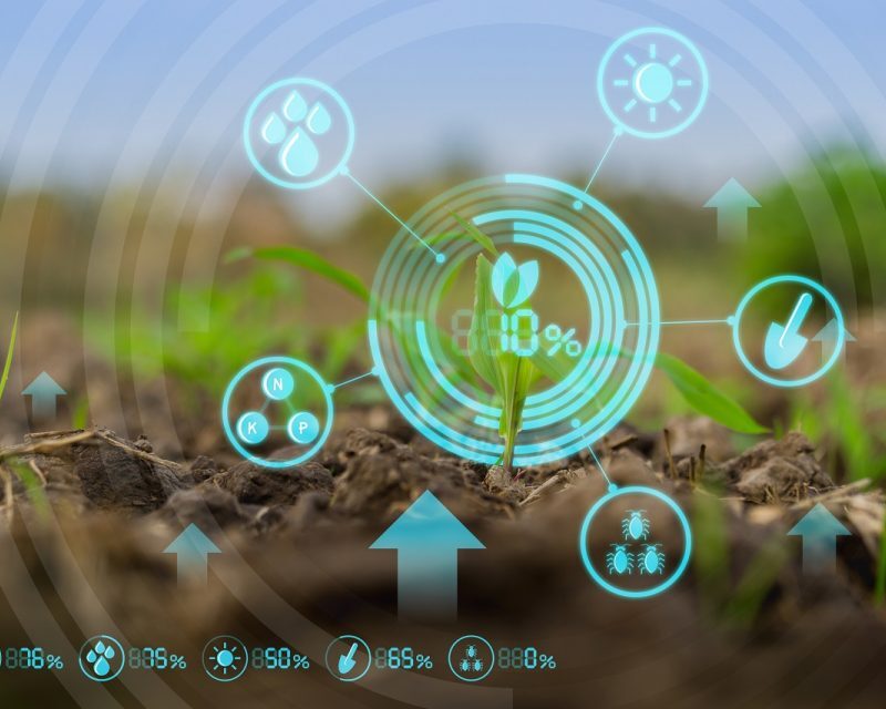L’AGRICOLTURA DI PRECISIONE PER LA SOSTENIBILITA’