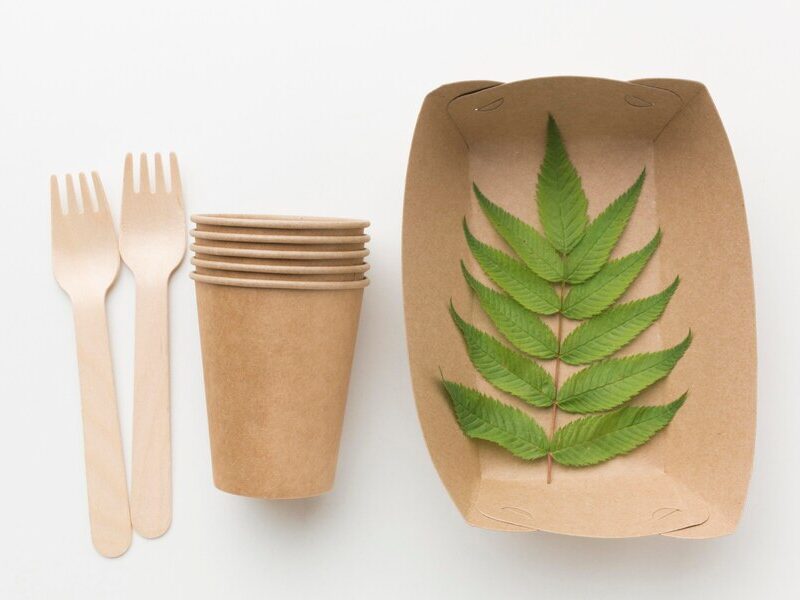 PROGETTARE IL PACKAGING GREEN: LA SVOLTA OBBLIGATORIA PROGETTARE IL PACKAGING GREEN: LA SVOLTA OBBLIGATORIA