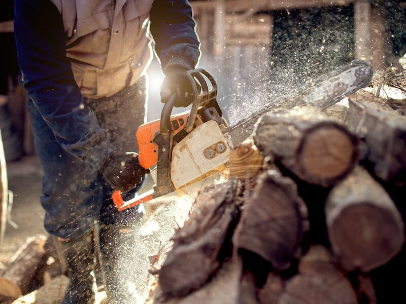 AGGIORNAMENTO ADDETTO ALL’USO IN SICUREZZA DELLA MOTOSEGA AGGIORNAMENTO ADDETTO ALL’USO IN SICUREZZA DELLA MOTOSEGA