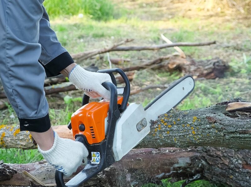 ADDETTO ALL’USO IN SICUREZZA DELLA MOTOSEGA ADDETTO ALL’USO IN SICUREZZA DELLA MOTOSEGA