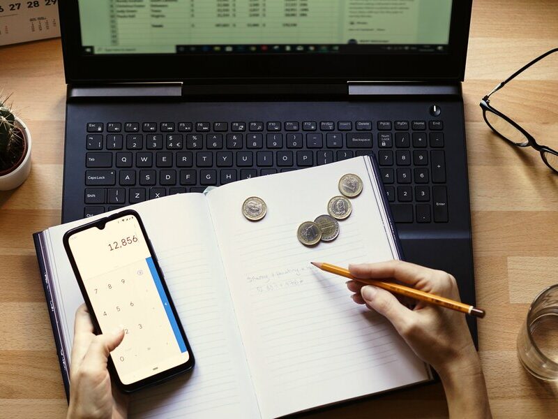 LA FISCALITA’ NEGLI E-COMMERCE LA FISCALITA’ NEGLI E-COMMERCE