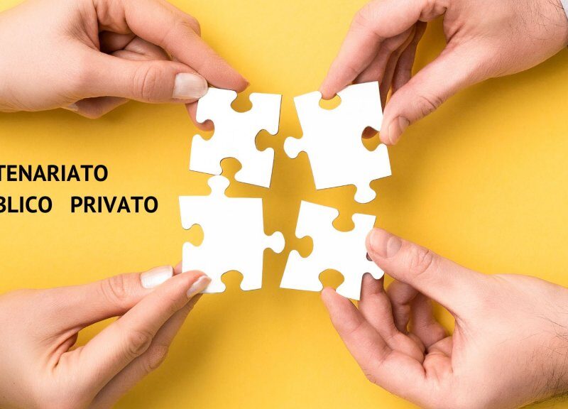 GESTIONE DEL PARTENARIATO PUBBLICO PRIVATO GESTIONE DEL PARTENARIATO PUBBLICO PRIVATO
