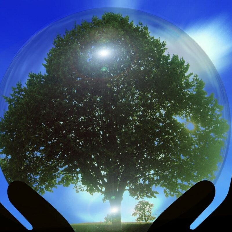 SISTEMA DI SCAMBIO DI QUOTE DI EMISSIONI DI GAS A EFFETTO SERRA