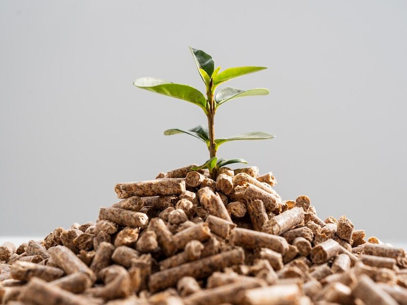 L’USO DELLA BIOMASSA COME FONTE DI ENERGIA ALTERNATIVA