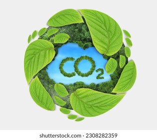 AZIONI PER RIDURRE LA CO2 AZIONI PER RIDURRE LA CO2