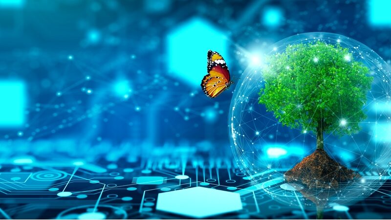 IL RUOLO DEL CLOUD NELLA TRANSIZIONE GREEN IL RUOLO DEL CLOUD NELLA TRANSIZIONE GREEN